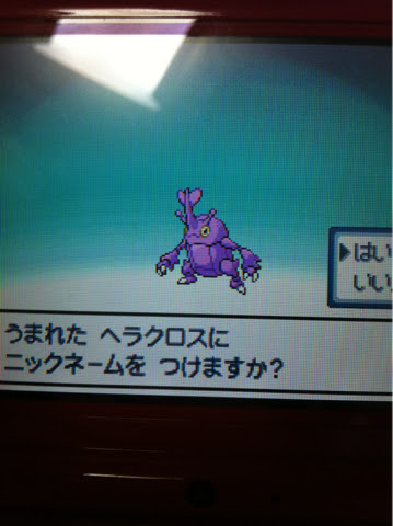 ユニークポケモン Hgss ヘラクロス ディズニー画像のすべて