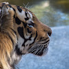 Jpg Format Images Download / Big Size Image Jpg Free Stock Photos Download 105 586 Free Stock Photos For Commercial Use Format Hd High Resolution Jpg Images : 73,894 best jpeg natural images free stock photos download for commercial use in hd high resolution jpg images format.