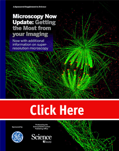 Microscopy Now