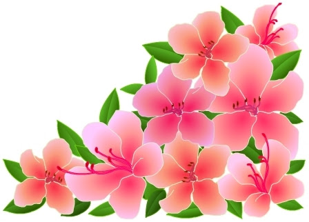 美しい花の画像 50 素晴らしいイラスト 5月の花