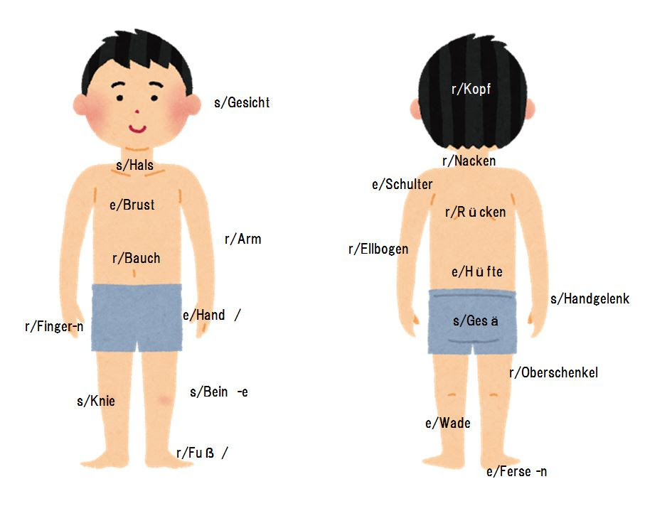 ベスト 体の部位 イラスト 最高の壁紙のアイデアcahd