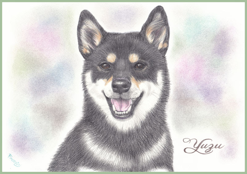 無料イラスト画像 無料ダウンロード犬 イラスト リアル 白黒