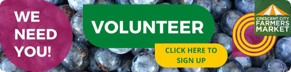 Volunteer now