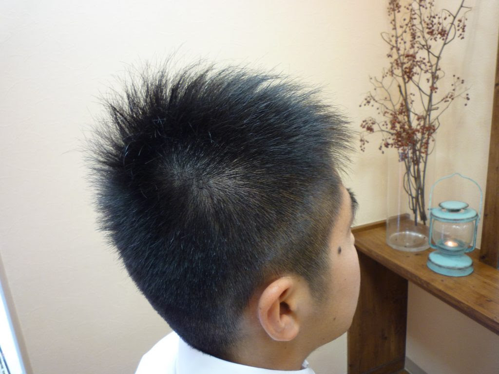 髪型 元のメンズ 髪型 剛毛 直毛