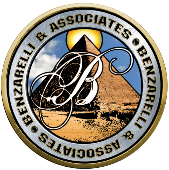 large bna logo 4web