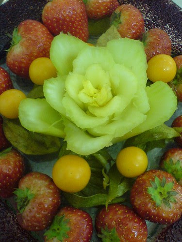 Winter Celery Flower by tapenade.