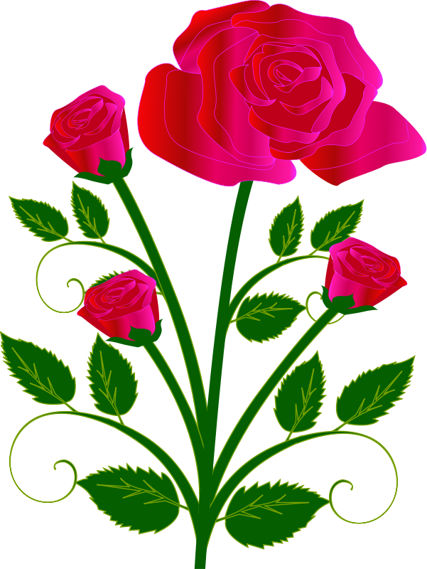 Vektor Bunga Mawar Merah Png