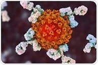 Research looks at how long SARS-CoV-2 antibodies last