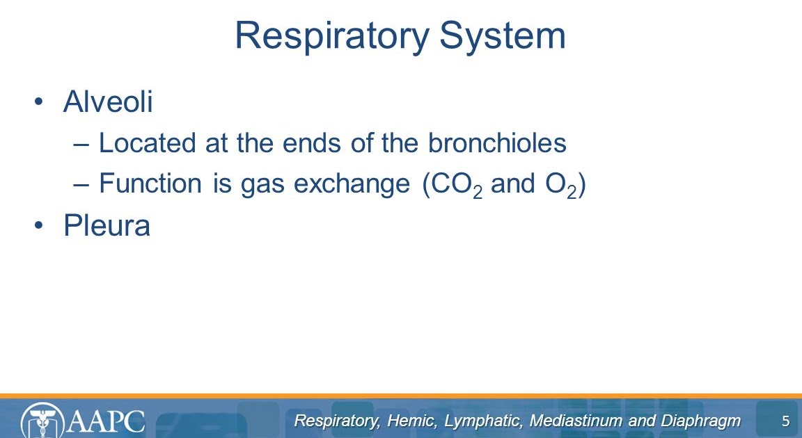 Personal History Copd Icd 10 - Perokok n