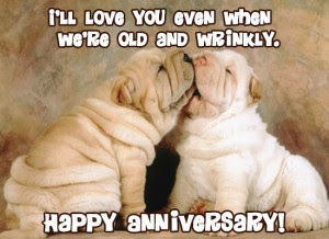 Here are funny anniversary messages and sayings. Funny Anniversary Wishes Funny Happy Anniversary Messages 365greetings Com