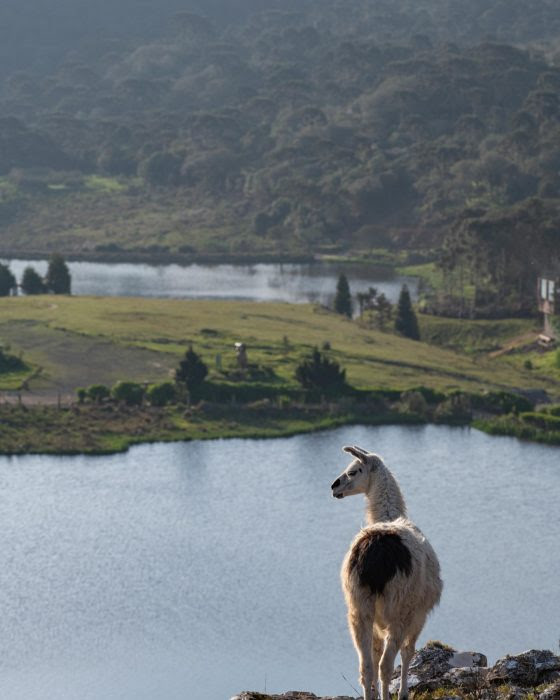 A indústria do turismo vem demonstrando crescimento gigantesco