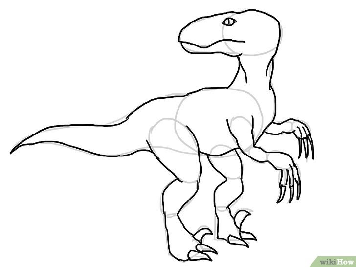 Kumpulan Mewarnai Gambar  Sketsa  Hewan Dinosaurus  Desain 