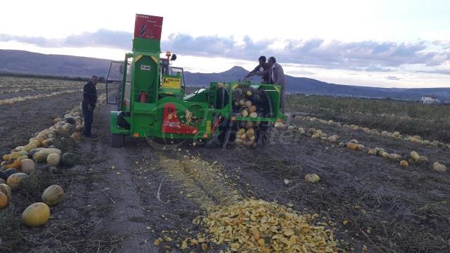 Agretto Agricultural Machinery Mail / Entretenimentomk ...