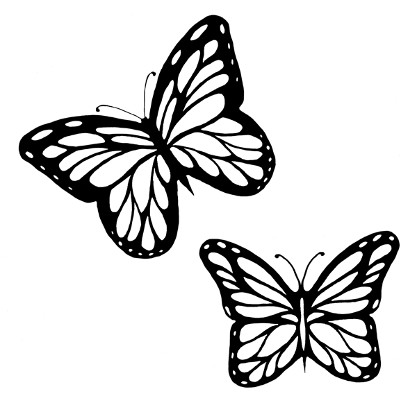 Download Outline Butterfly Flying Drawing