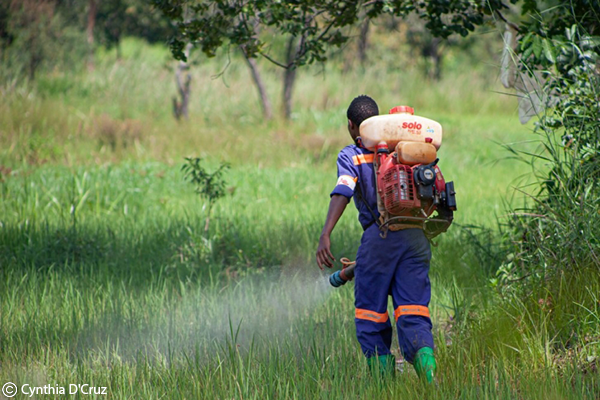 Prevención y tratamiento de la malaria en el campamento de Nduta