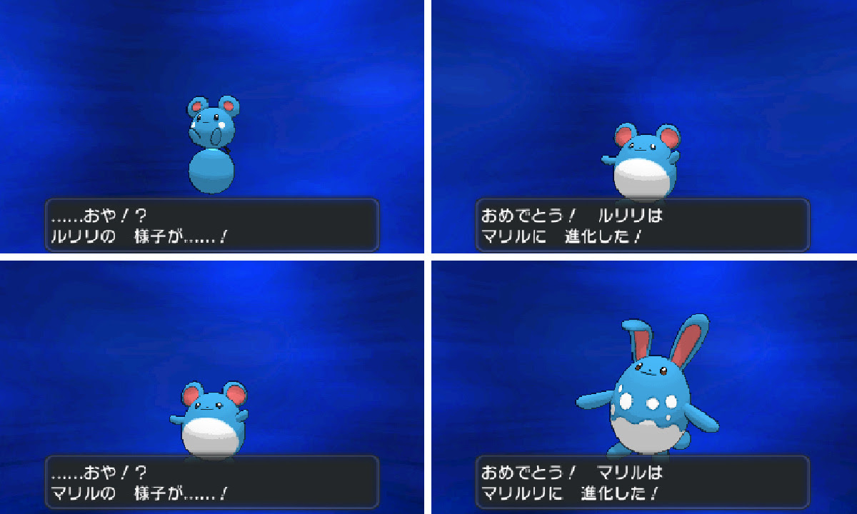 ディズニー画像のすべて 上ポケモン Xy 進化 レベル