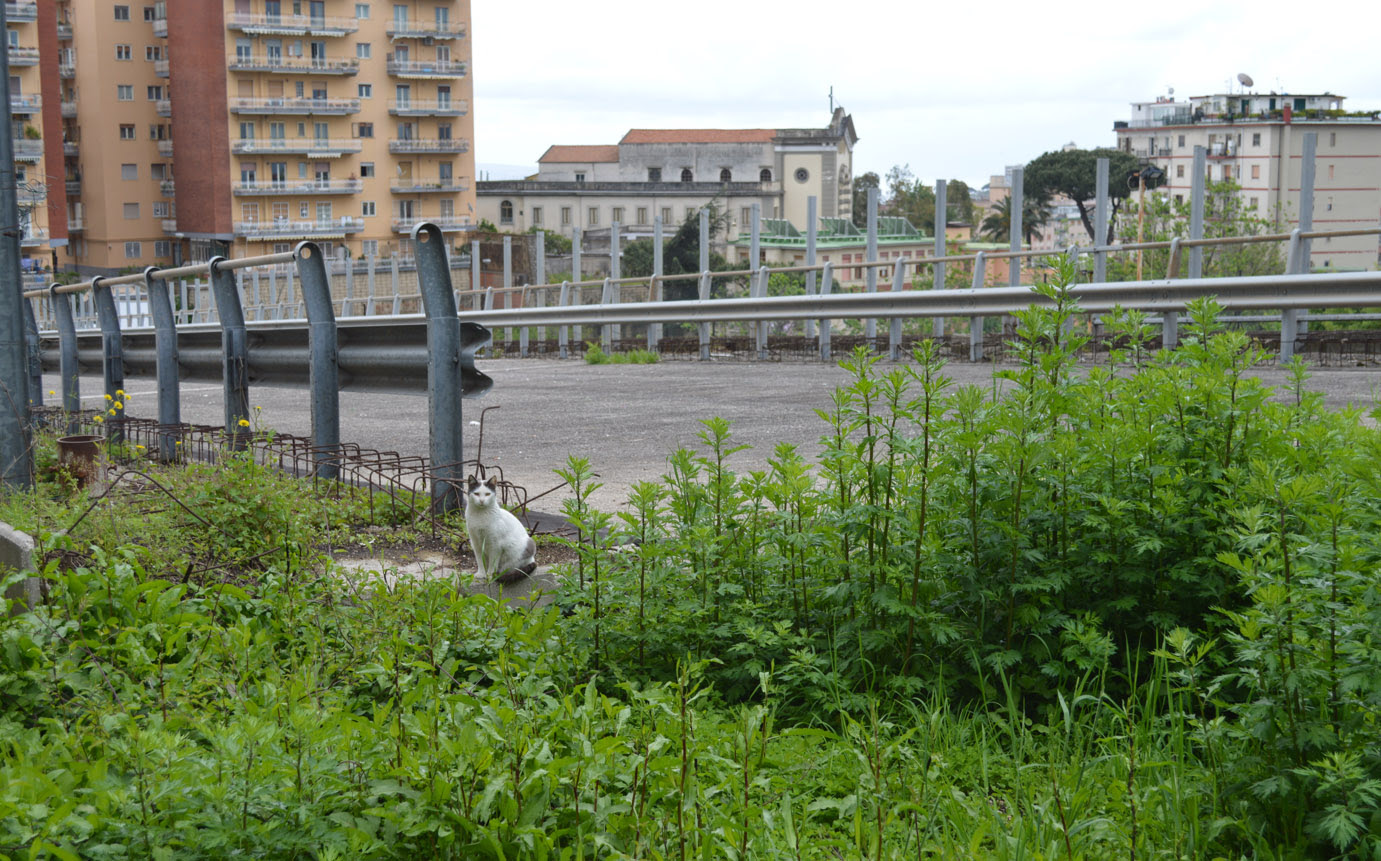 Booking.com has been visited by 1m+ users in the past month Ponte Di Via S Giacomo Dei Capri I Soldi Ci Sono