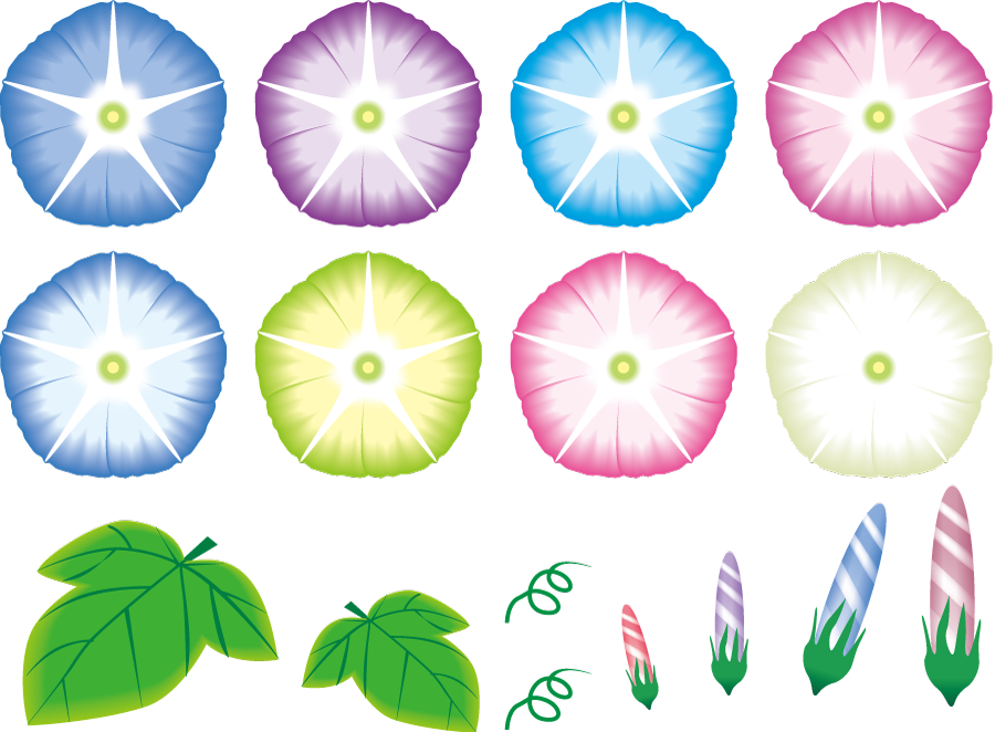 美しい花の画像 最新朝顔 葉っぱ イラスト