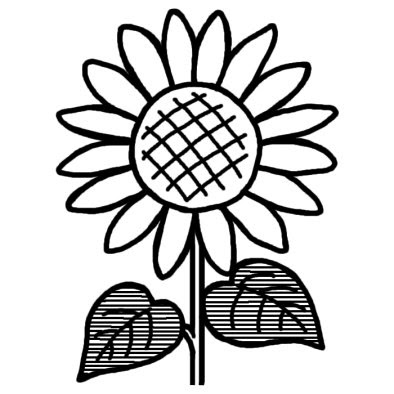 ベストひまわり イラスト 手書き 白黒 ただのディズニー画像