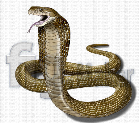 無料ダウンロード 蛇 イラスト リアル 蛇 イラスト リアル