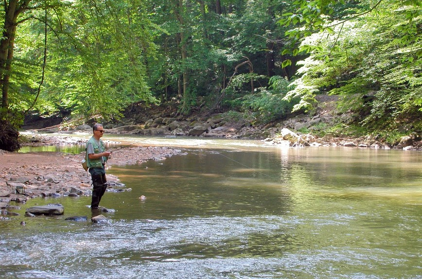 Outdoors, nature, water, creek, trees, rocks, person, fishing pole