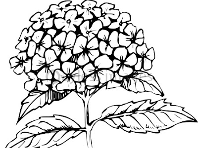 [最も欲しかった] 紫陽花 6 月 イラスト 白黒 345294