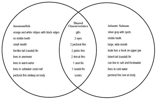 Baby Wallpapers 2011 Plant And Animal Cell Venn Diagram