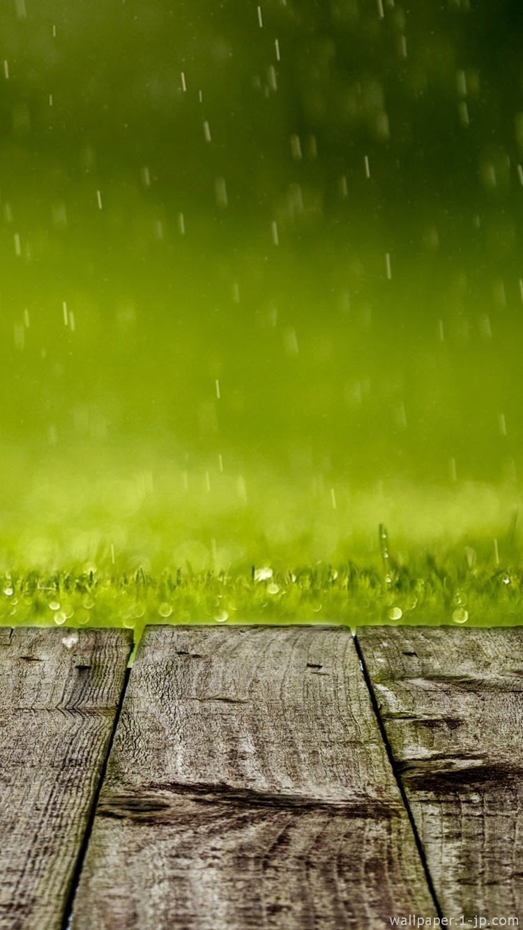 新着スマホ 雨 壁紙 花の画像