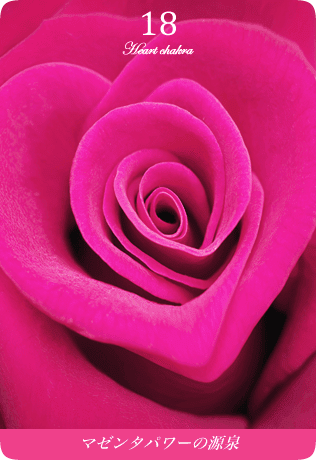 すべての花の画像 50 マゼンダ ピンク 待ち受け