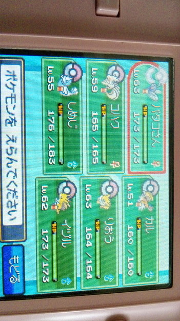 最良の選択 ポケモン ソウル シルバー おすすめ ポケモン 100 で最高の画像