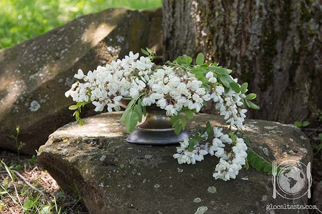 I suoi fiori a grappolo bianchi, lilla, viola oppure blu sono l'emblema di questa pianta ideale per pergole e verande. Fiori Da Mangiare Frittelle Con Fiori Di Acacia