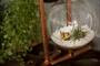 Your guide to making a succulent terrarium