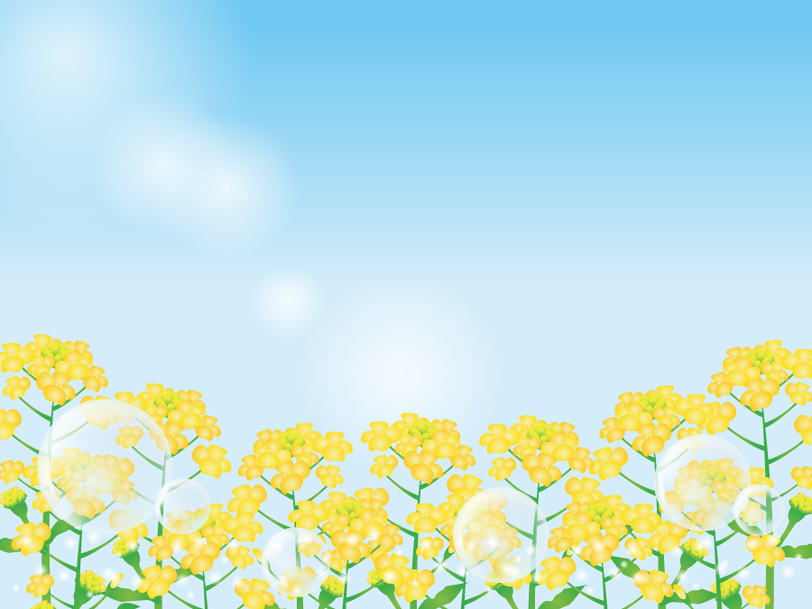 驚くばかり菜の花 壁紙 イラスト 最高の壁紙コレクション