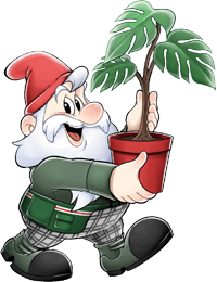 75 植物 キャラクター 最高の花の画像