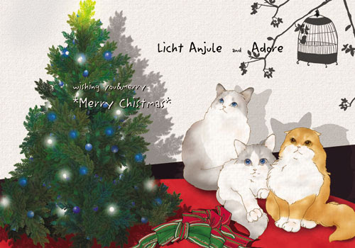 すべての美しい花の画像 50 壁紙 クリスマス 猫 イラスト