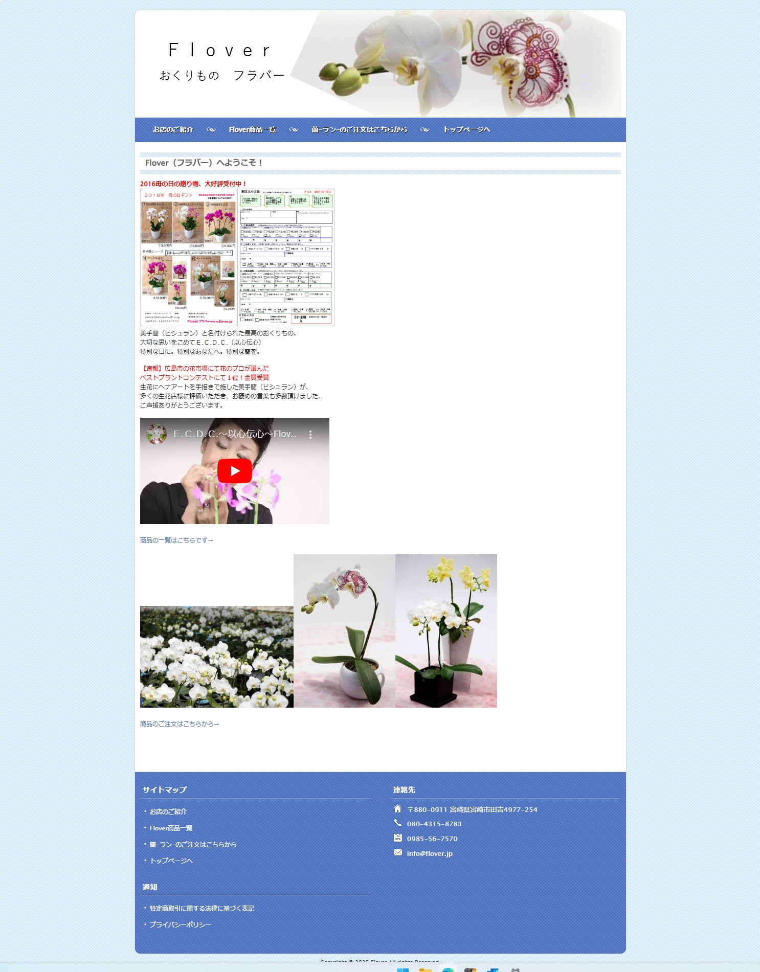 すべての美しい花の画像 ロイヤリティフリー鉢 植え 替え