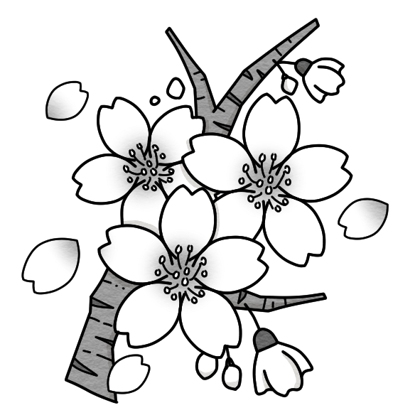 美しい花の画像 Hd限定4月 イラスト 白黒