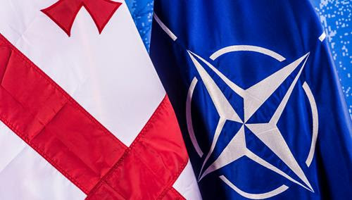 NATO Military Committee discusses NATO-Georgia military cooperation