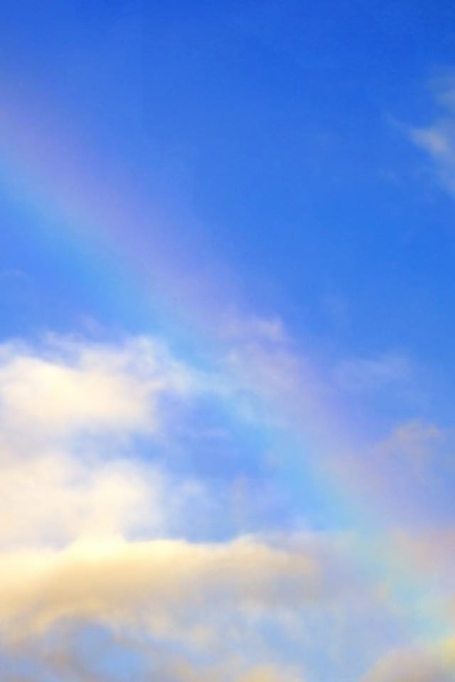 ロイヤリティフリーiphone 空 虹 壁紙 花の画像
