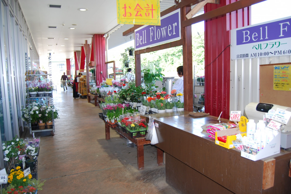 すべての美しい花の画像 最高かつ最も包括的なベルフラワー 花市場