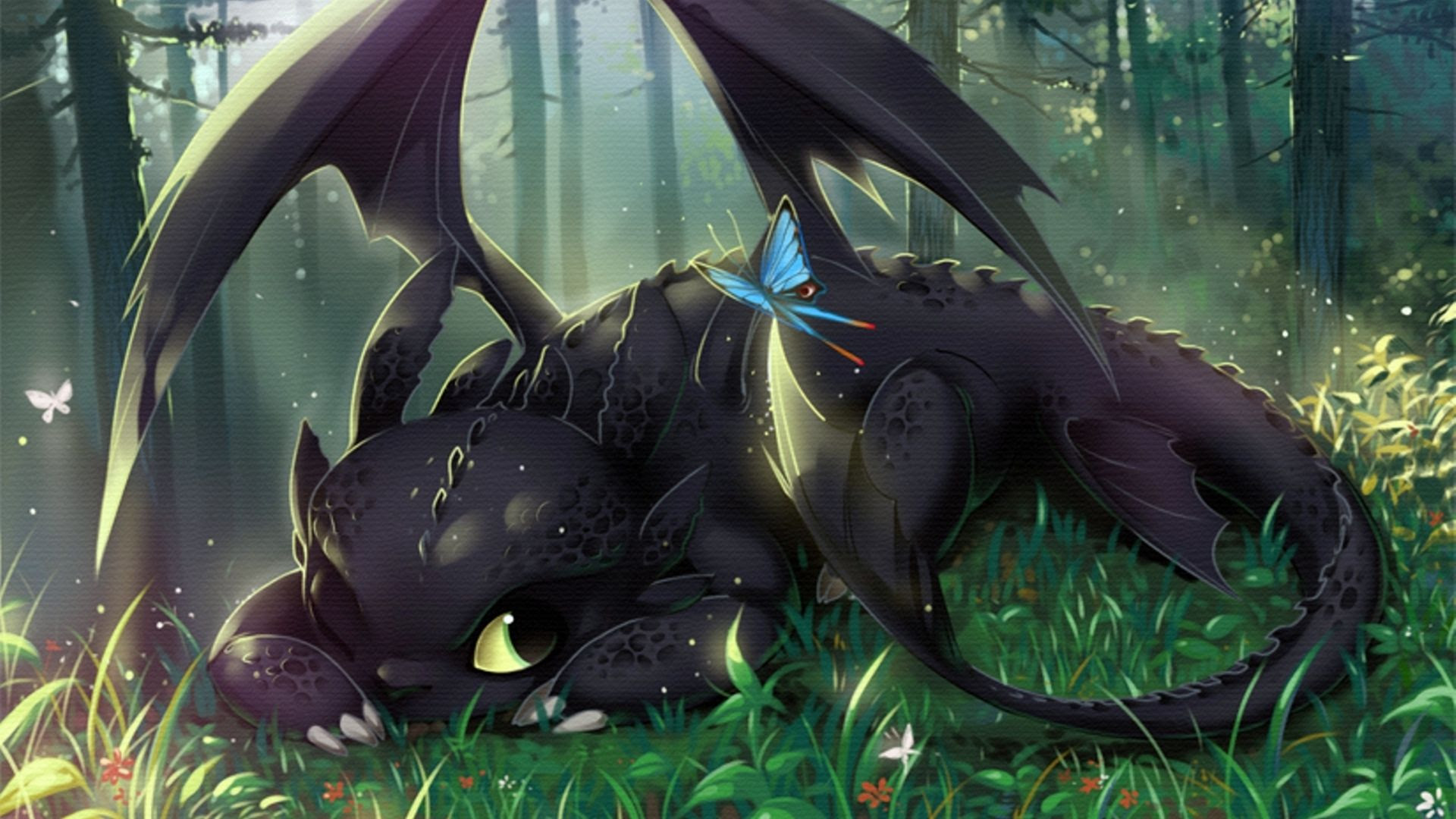 最高壁紙 かっこいい ヒック と ドラゴン すべての美しい花の画像