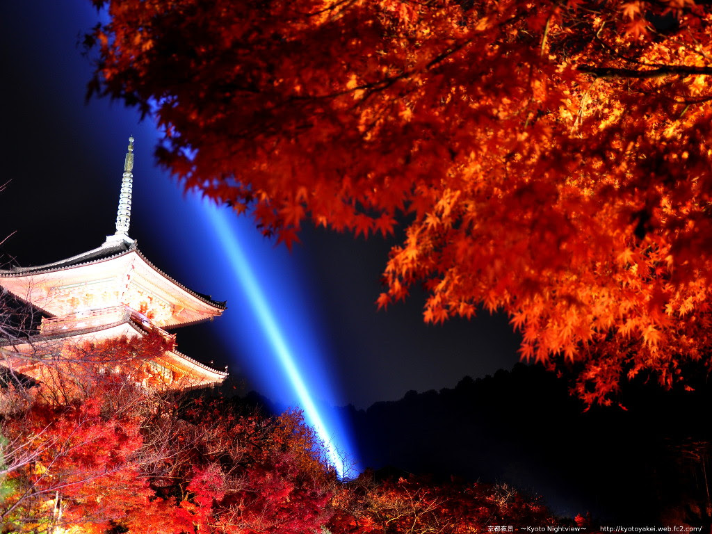 元の紅葉 壁紙 高画質 すべての美しい花の画像