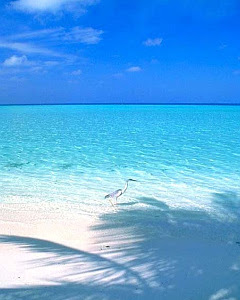 ++ 50 ++ 海 iphone 壁紙 高画質 315025-Iphone 壁紙 海 高画質