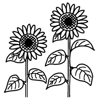 美しい花の画像 無料ダウンロードひまわり イラスト 白黒 フリー