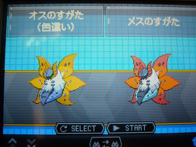 トップ 100 ポケモン ホワイト ウルガモス トップイラスト
