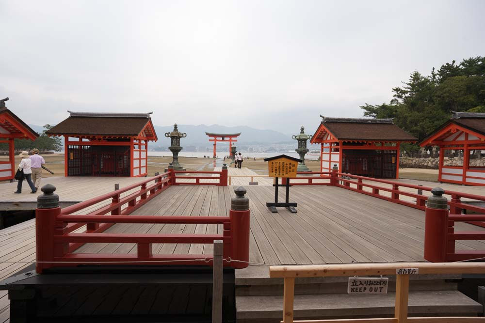 厳島 神社 壁紙 Udin