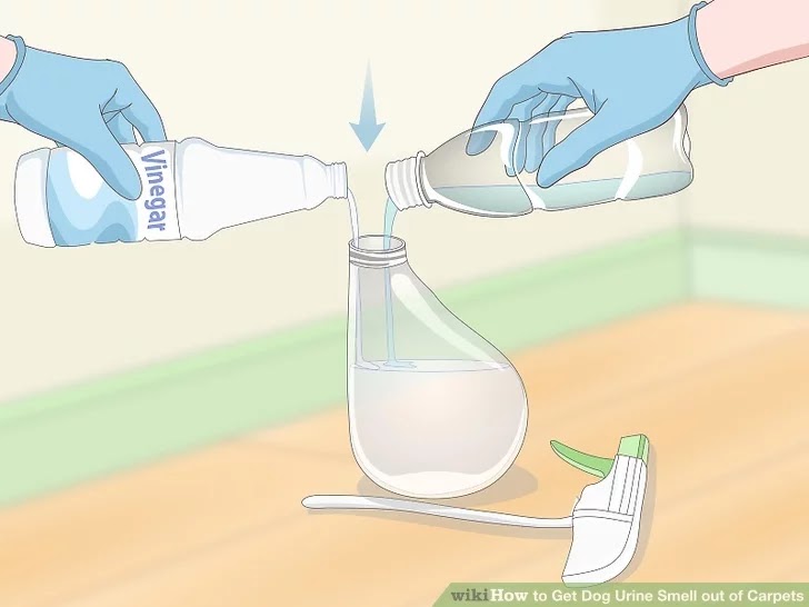 How To Get Urine Out Of Carpet With Baking Soda - How To Get Human Urine Smell Out Of Carpet