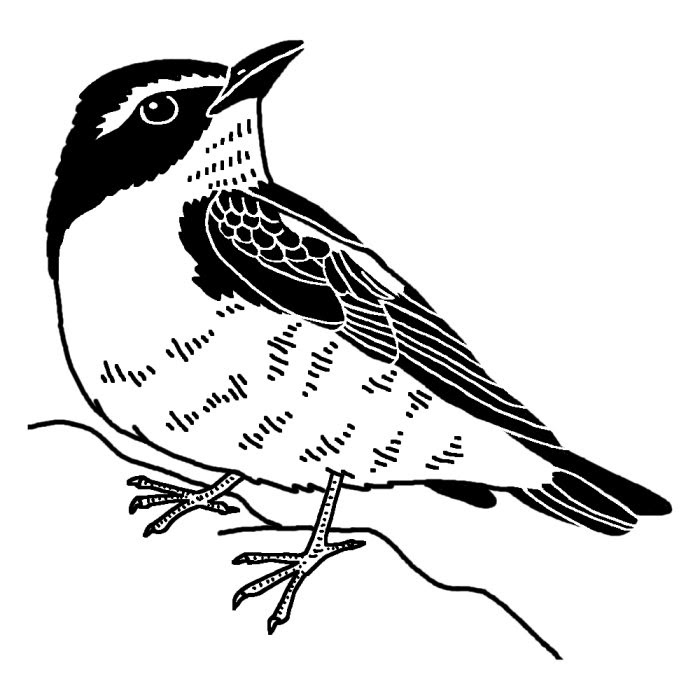 1000以上 おしゃれ 鳥 イラスト 白黒