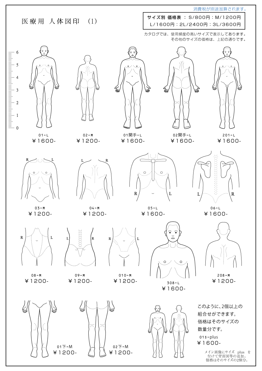 1000以上 イラスト 人体 イラスト 人体