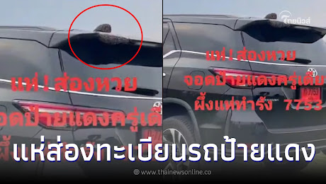 แห่ส่องทะเบียนรถป้ายแดง เจ้าของจอดไว้แป๊บเดียว ฝูงผึ้งแห่มาทำรัง